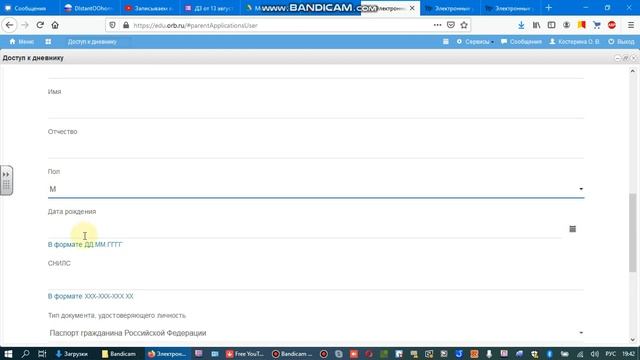 Инструкция "Как подать заявление на доступ в электронный дневник" смотреть онлайн