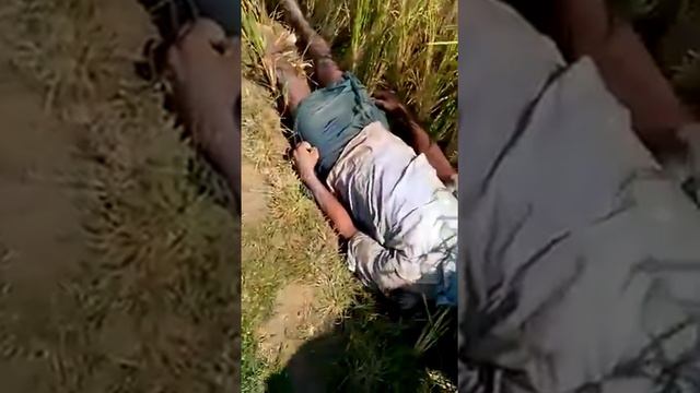 Rohingya daily news, Stop Airstrike on Rohingya Muslims in Arakan stop genocide 13/11/16 3,am смотреть онлайн