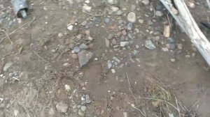 Мотор Хайди 9.8 лодка нордик 330