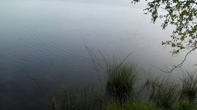 Озеро Большое Зеленодольское. Сентябрь. смотреть онлайн