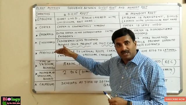 Difference between Dicot & Monocot Root (Plant Anatomy) | English Medium смотреть онлайн