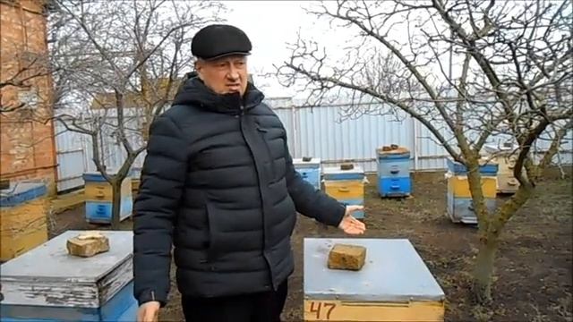 Почему зимовка в двух корпусах Рута смотреть онлайн