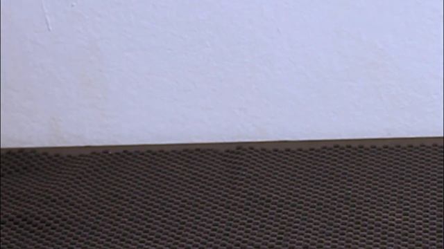 YOUR HAIR WILL NOT STOP GROWING: DOUBLE YOUR NATURL HAIR GROWTH