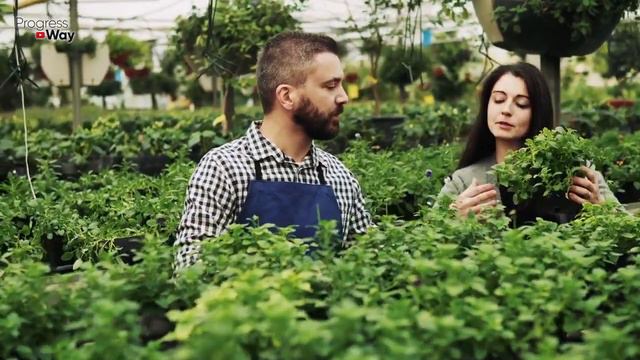 1 мл Этого и Все Черенки В Корнях! Самый Мощный Образователь Корней смотреть онлайн