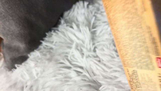 КЛАССНЫЕ ПОКУПКИ С САЙТА OZON ? РАСПАКОВКА ОЗОН #озон#ozon #wildberries #распаковка