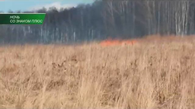 Трава. Низовые пожары начинаются смотреть онлайн