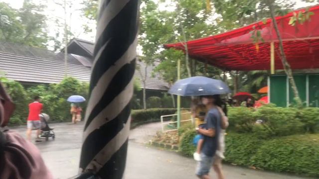 Kuala Lumpur Bukit Bintang Furama Hotel|Zoo Negara|1/5/2022-3/5/2022 смотреть онлайн