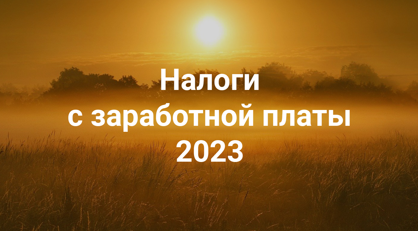 НДФЛ и страховые взносы 2023 + Удобная статья-справочник + Бесплатный ПРАКТИКУМ на Stepik! смотреть онлайн
