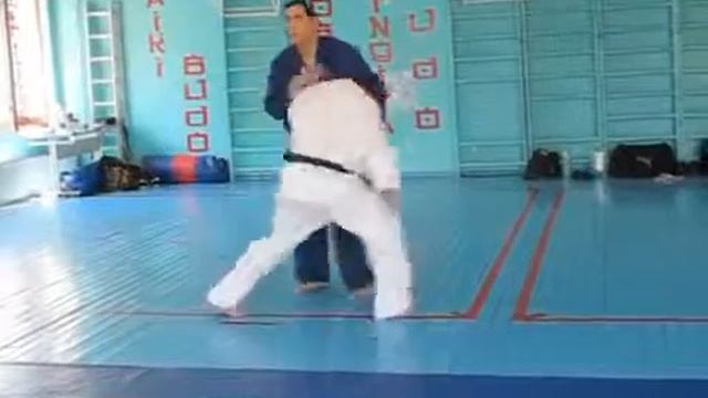 Семинар джиу джитсу дзю дзюцу 7/27 смотреть онлайн