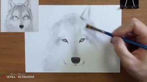 Как нарисовать волка. Легкая и необычная техника для новичков