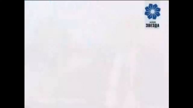 Мидиактив. О свойствах экстракта зеленогубых мидий.