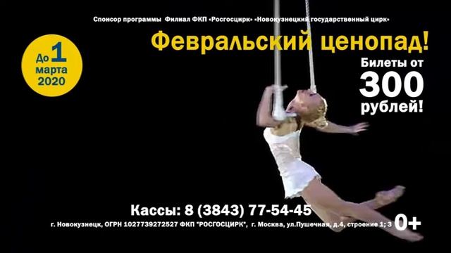 Шоу "Морские забавы" I Новокузнецкий цирк смотреть онлайн