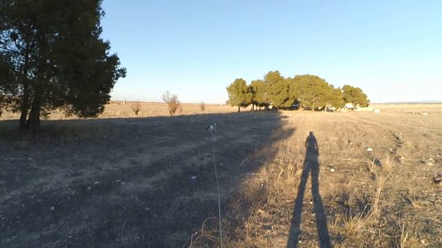 "Городской" след. 380 m, 10 min. смотреть онлайн