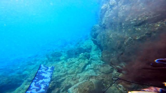 5 Days Alone Island Challenge