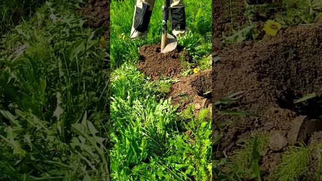 бурим ямку электробур.