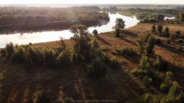 РЕКА ДЕСНА. ОСТРОВ ЛЮБИЧЕВ. СЕВЕРНАЯ ЧАСТЬ. Взгляд с неба [4K] (21.08-22.08.2021) смотреть онлайн