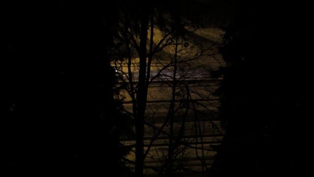 Canon PowerShot SX50 HS, totally dark conditions смотреть онлайн