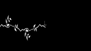 Футажи для видеомонтажа"Белый растительный орнамент на чёрном фоне"