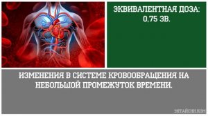 Последствия Облучения Радиацией | Как влияет на человека радиация? | Энтайсин.ком