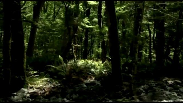 E.Lev.-Trance From My World.mp4