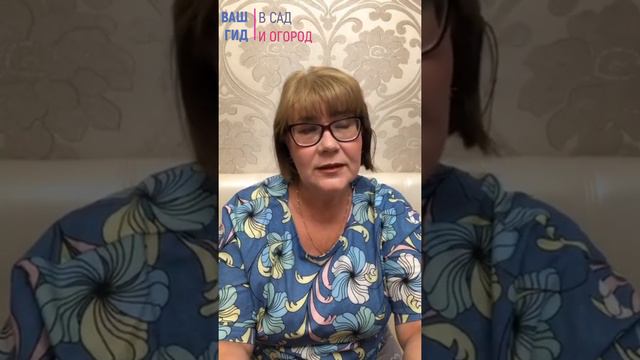 🍒Ягодные и плодовые для начинающих: где брать посадочный материал? смотреть онлайн