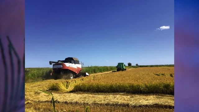 §42 "Поволжье: хозяйство и проблемы", География 9 класс, Полярная звезда смотреть онлайн