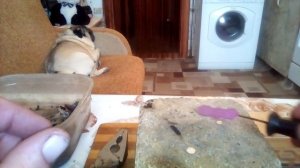 Как правильно отпаивать контакты обычной газовой горелкой