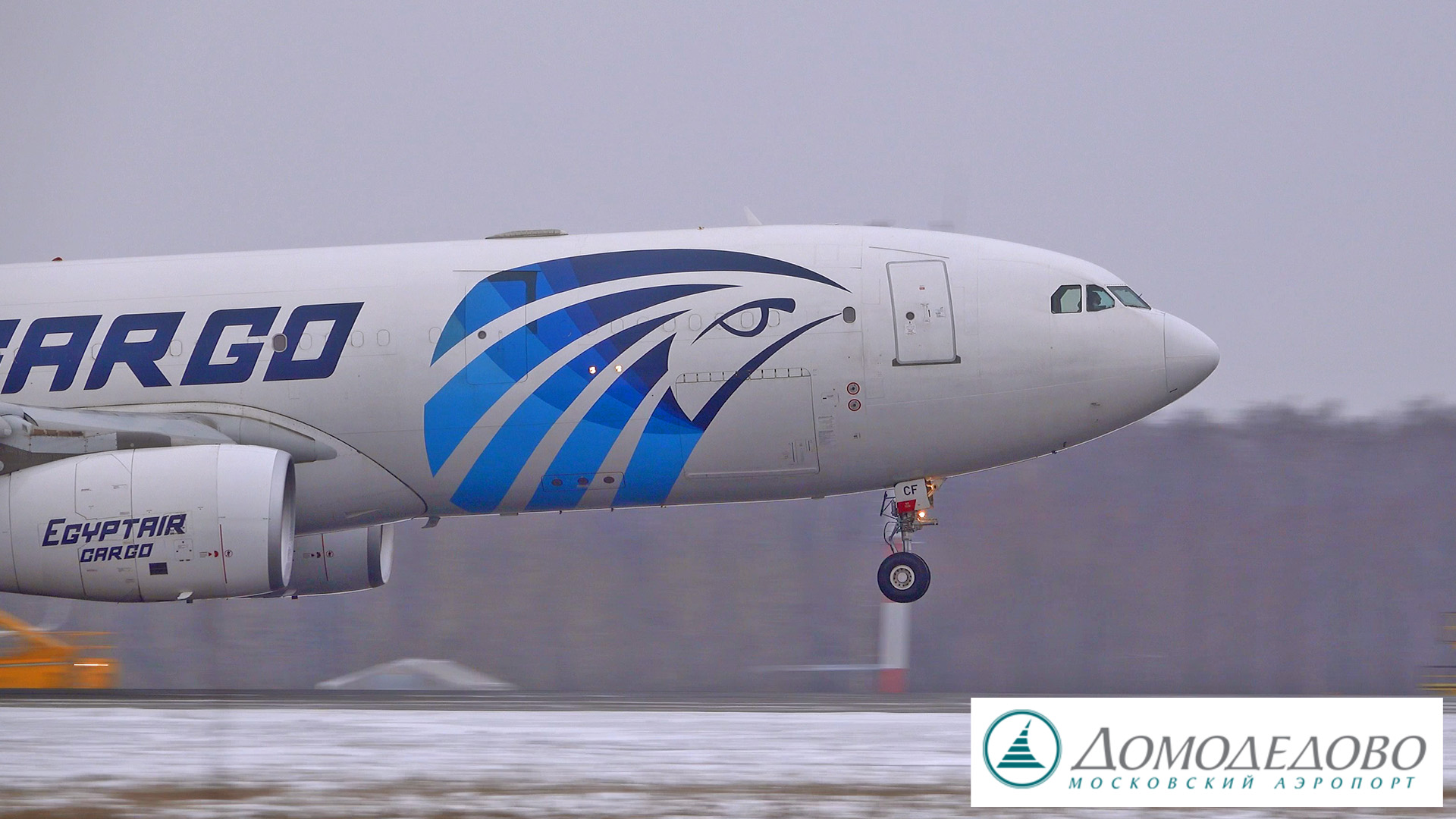 Мороз без солнца, но день чудесный. Дремать некогда. Домодедово, 12'2022 смотреть онлайн