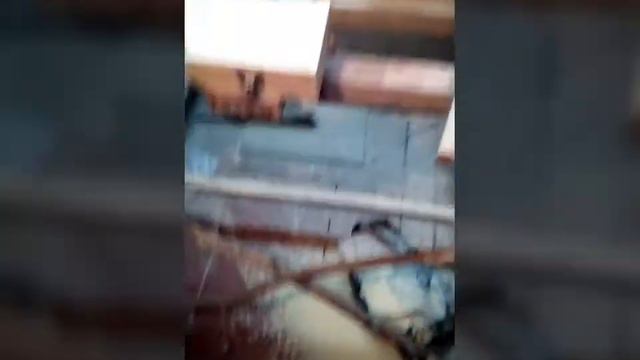 Необычный чветочник ЕЛОЧКА. смотреть онлайн