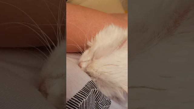 мама кенгуру, нечего мне делать не дает, наруки надо и кайфушками занимаеться смотреть онлайн