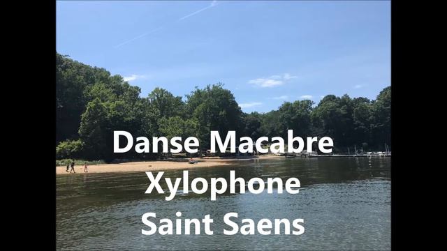 Saint Saens - Danse Macabre Xylophone смотреть онлайн