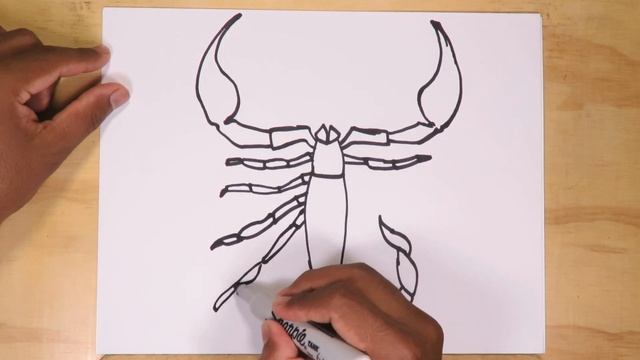 How to draw a Scorpion step by step смотреть онлайн