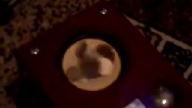 Dubstep Эквалайзер смотреть онлайн