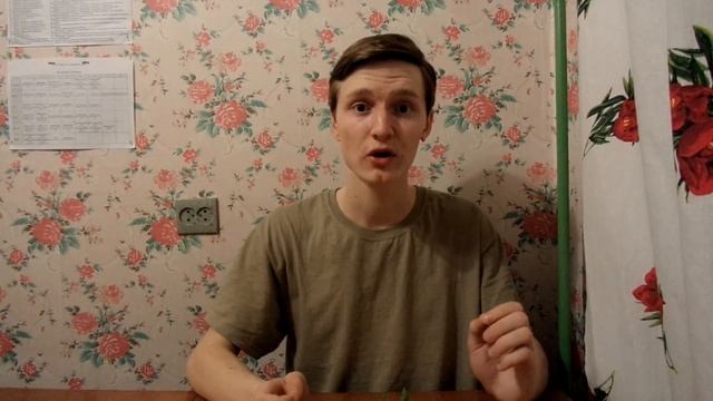 Уход за рассадой ТОМАТОВ (ПОМИДОРОВ) от ВСХОДОВ до ПИКИРОВКИ смотреть онлайн