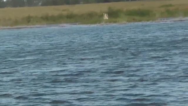 Рыбалка в ветреную погоду. 20. 08. 2019 смотреть онлайн