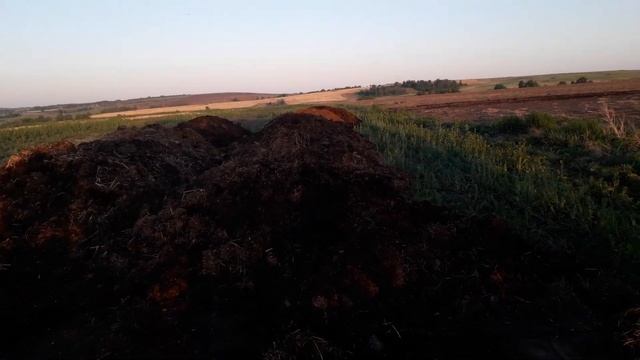 Разбрасываю навоз! Разбрасыватель органических удобрений РОУ-6 смотреть онлайн