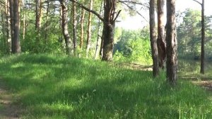 Александр Маршал  Мой дом Россия