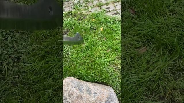 Оригинальный мачете. Сталь 9ХС. Общая длина 495 мм.Ножны в комплекте.Для заказа пишите +79877444709