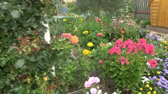 6 соток 1 августа 2022 год. Хроника. garden life смотреть онлайн