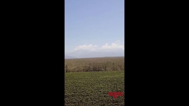 Celebrate Harvest Season with SOMM TV смотреть онлайн
