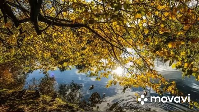 Новая Музыка для Релакса и Отдыха• Музыка для расслабления • Музыка для спокойствия•Мелодия для душ смотреть онлайн