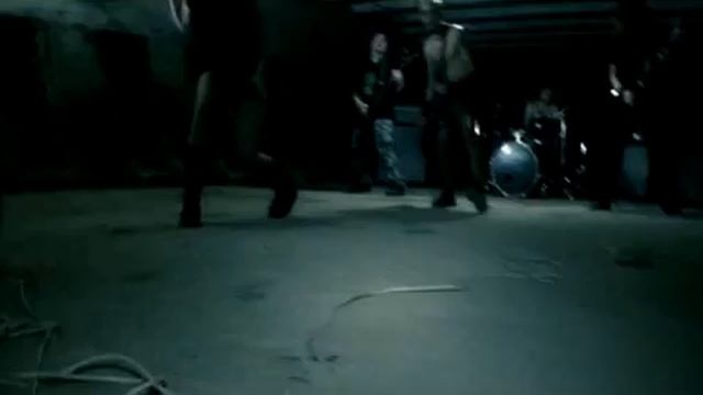 Забавные Моменты с Домашними Животными