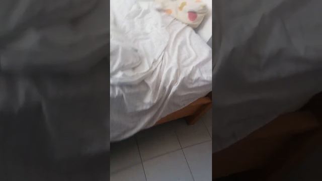 мы с давидам нашли деньги и золотии вещи!! смотреть онлайн