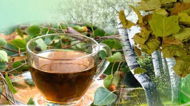 Настой из листьев, почек БЕРЁЗЫ полезное растение для лечения печени, улучшения желчеотделения!