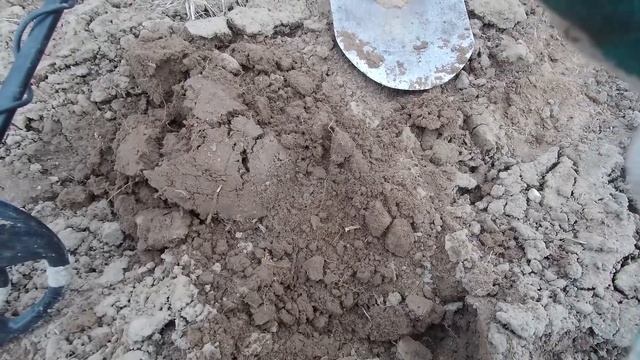 Открытие сезона. Первый коп монет. Находки порадовали. В поисках старины.