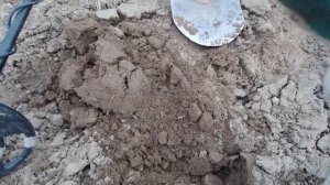 Открытие сезона. Первый коп монет. Находки порадовали. В поисках старины.
