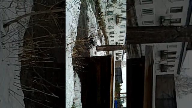 выгоняем скутэр смотреть онлайн