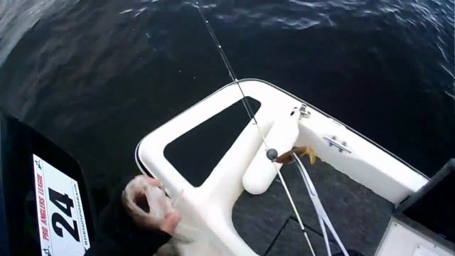 Третий этап Pro Anglers League 2013. Экипаж Трубников/Барынин. Поймал, положил, проколол смотреть онлайн
