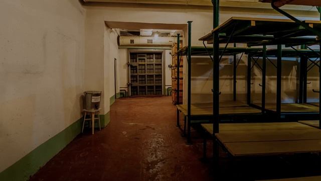 Почти как в кино. Дмитрий Салонин. Часть 8. Иллюстрированная аудиокнига. Постапокалипсис смотреть онлайн