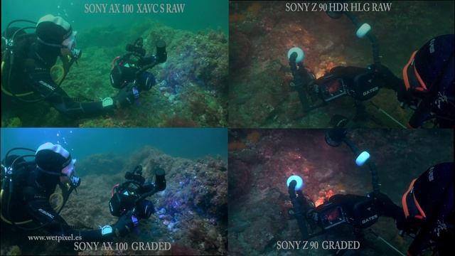HDR VIDEO:FACE TO FACE SONY AX 100 AX 700 Z 90 HDR 10 Real BT 2020 HDR смотреть онлайн